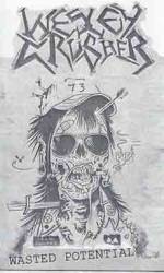 Wesley Crusher : Wasted Potential